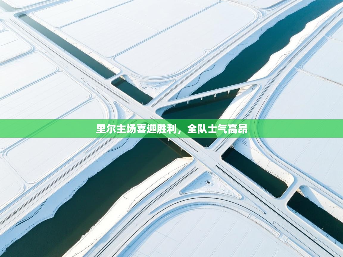 里尔主场喜迎胜利，全队士气高昂  第2张