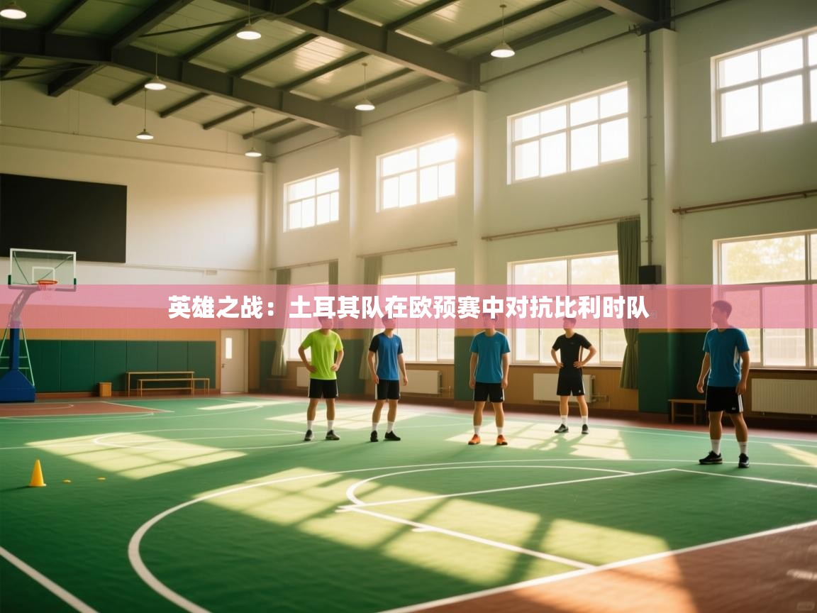 英雄之战:土耳其队在欧预赛中对抗比利时队 第2张